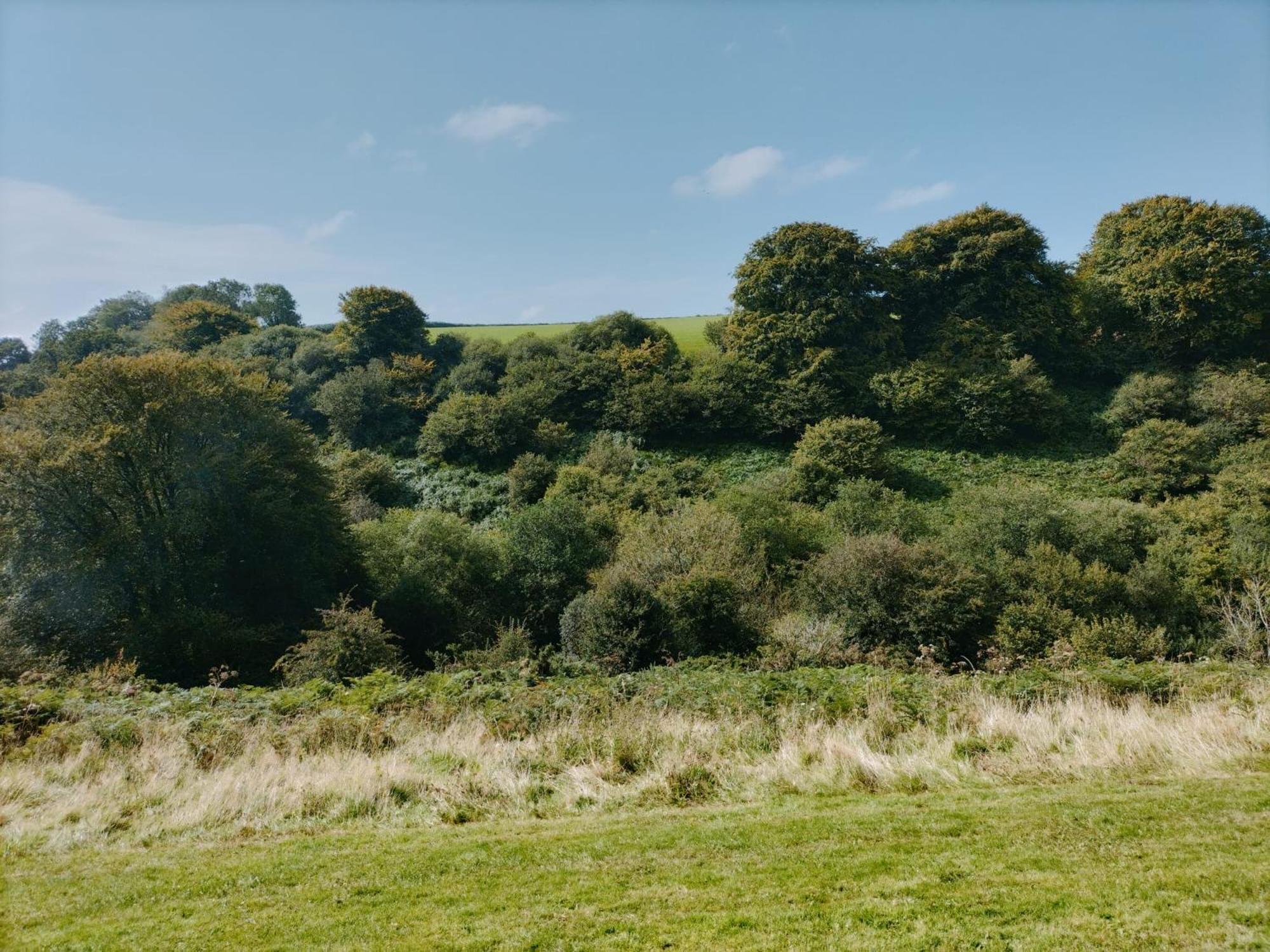 22 Stowford Gardens Combe Martin Apartamento Exterior foto